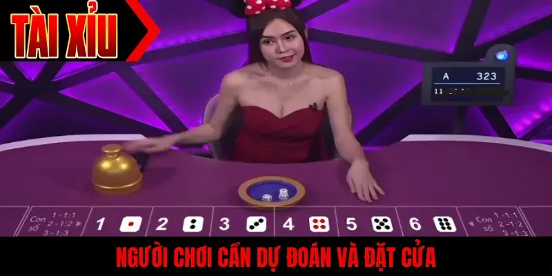 Người chơi cần dự đoán và đặt cửa