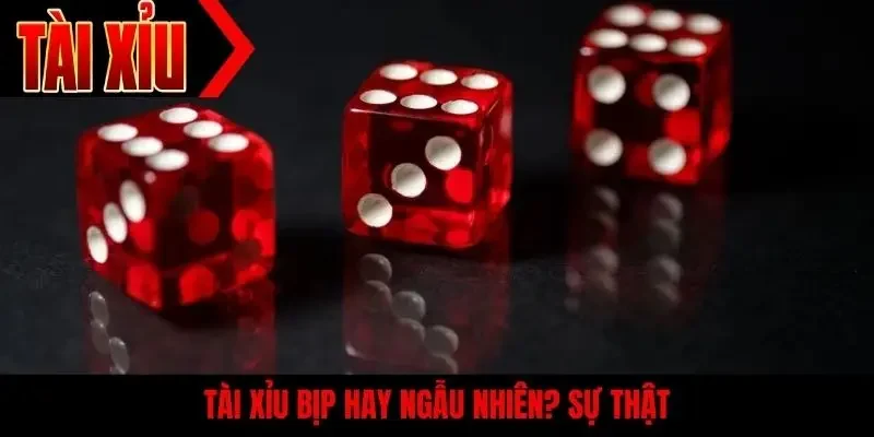 Tài xỉu bịp hay ngẫu nhiên? sự thật