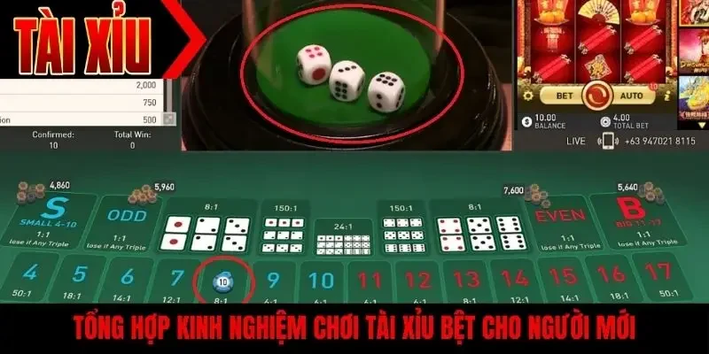 Tổng hợp kinh nghiệm chơi tài xỉu bệt cho người mới